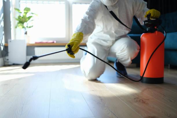 Reliable Sewage Cleanup contractor in Baltimore, OH by Trauma Clean Pros